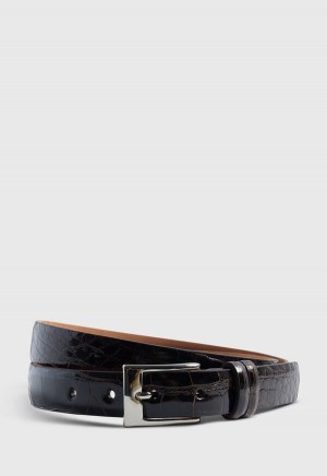 Paul Stuart Alligator with Silver Dark Brown | AU_PAUL86225