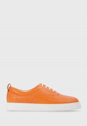 Paul Stuart CVO Leather Orange | AU_PAUL85256