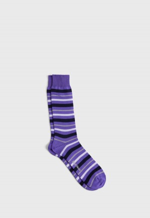 Paul Stuart Cotton Variegated Multicolor Stripe Purple | AU_PAUL98689