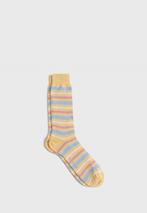 Paul Stuart Cotton Variegated Multicolor Stripe Multicolor | AU_PAUL25135