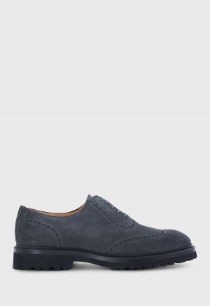 Paul Stuart Homer Suede Wing Tip Grey | AU_PAUL47578