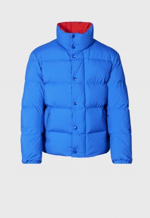 Paul Stuart Puffer Jacket Royal Blue | AU_PAUL25587