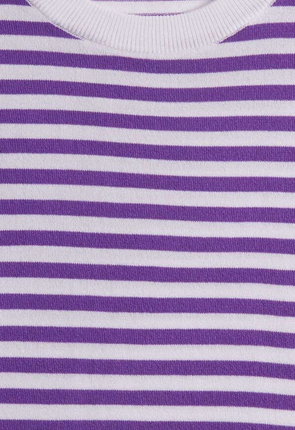 Paul Stuart Stripe Knit Short Sleeve Crewneck Purple / White | AU_PAUL55606